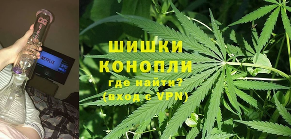 гидра Белокуриха