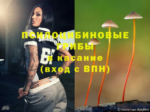 МДПВ Богородицк
