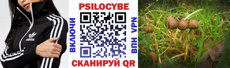 Галлюциногенные грибы мицелий  blacksprut   Бронницы  где продают наркотики 