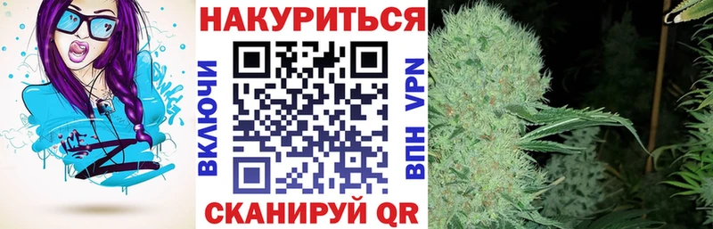 Бошки марихуана план  omg рабочий сайт  Бронницы 